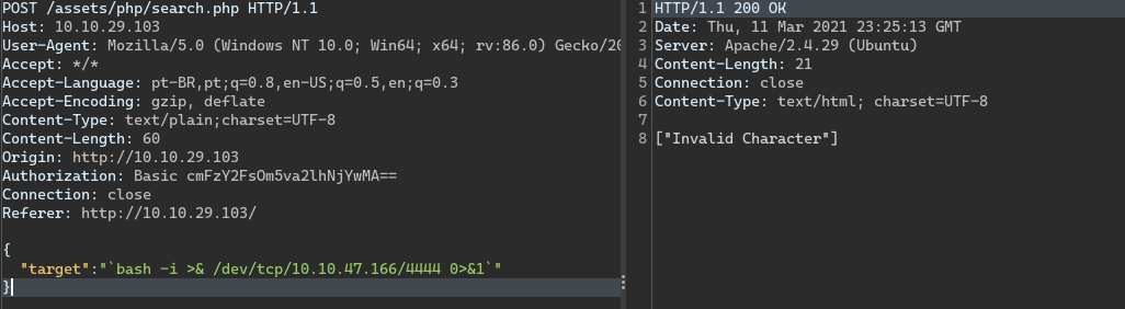 Reverse shell filter